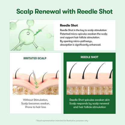 [VT COSMETICS] #1 Viral PDRN Reedle Shot Scalp Care Set with Brush Hair Serum, Hair Ampoule 100/300/700 & Liquid Microneedling | Hair Thickening, Fuller-Looking Hair, Root & Scalp Pore Care | Scalp, Hairline, Roots | Korean Haircare